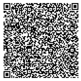Плата управления парогенератором Tylo VA/VB 96000088