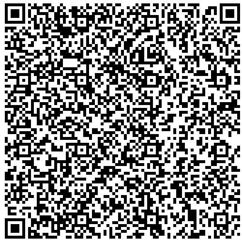 Вставка НВО2 D120 AISI316, L=250 мм, S=1,0 мм. Балтвент (Элемент дымоходной системы, для печей, каминов)
