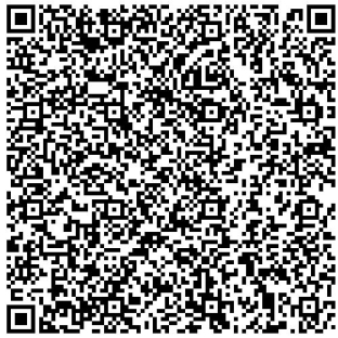 Вставка НВО2 D120 AISI316, L=250 мм, S=1,0 мм. Балтвент (Элемент дымоходной системы, для печей, каминов)